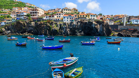 Madeira. Shutterstock nuotr.