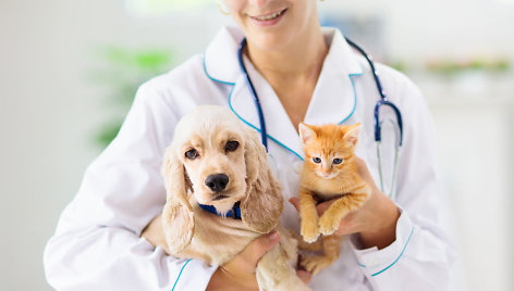 Veterinaras