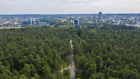 Vingio parkas iš paukščio skrydžio