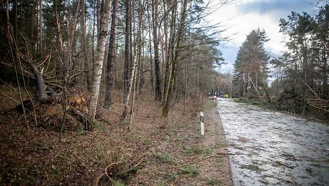 Stipraus vėjo padariniai Vilniaus mieste ir apylinkėse