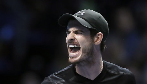 Andy Murray prieš Mariną Čiličių