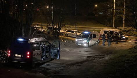 Policija Vilniuje ie&scaron;ko dingusios mergaitės