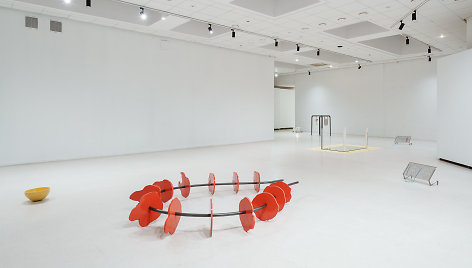 Sidsel Ladegaard parodos „Fine shelf'“ („Plati Lentyna“) ekspozicija