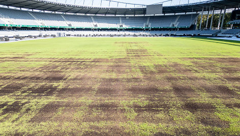 Dariaus ir Girėno stadiono veja