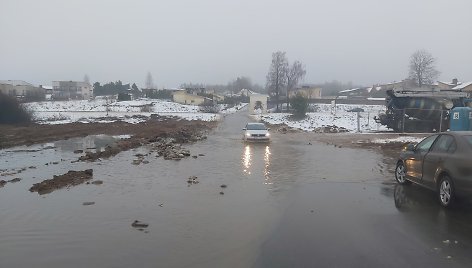 Bendorėlių 1-oji al.