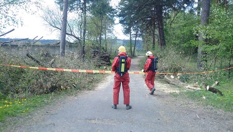 Rastas i&scaron;piltas gyvsidabris