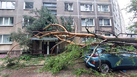 Vilniaus Lazdynų mikrorajone audra pridarė žalos: ant daugiabučio užvirto medis