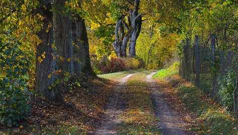 Mizarų kaimas (Druskininkų sav.)