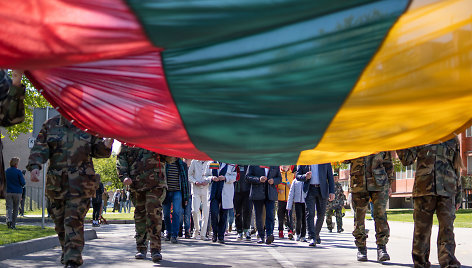 Prienuose, Beržyno parke vyko NATO festivalis