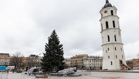 Vilniuje pradėta statyti Kalėdų eglutė