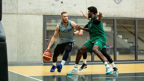 Ignas Brazdeikis