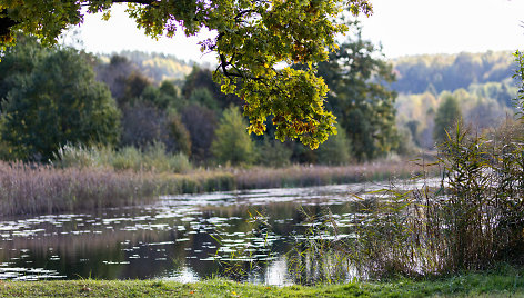 Saulėtas rudens rytas