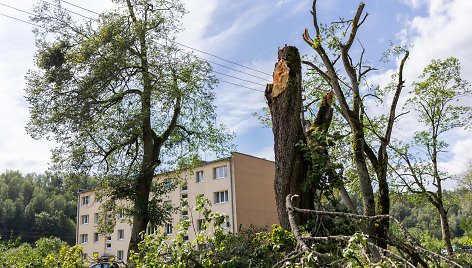 Paneriai šalia Vievio bando atsigauti po dar nematytos audros