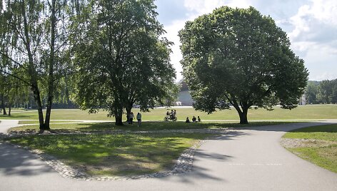 Erkių instaliacijos 