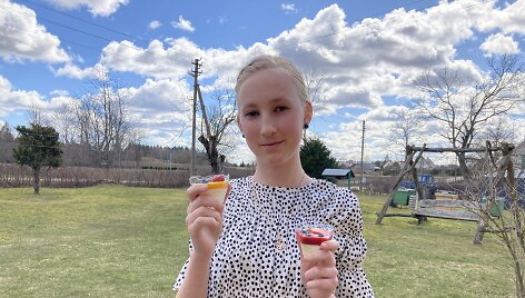 Dvylikametė Justė Žvirblytė per karantiną atrado aistrą gaminti. Mergaitės desertai sulaukia giminaičų komplimentų.