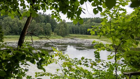 Jeruzalės tvenkinys. / Vilniaus miesto savivaldybės nuotr.