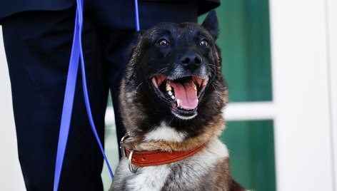 D.Trumpas pristatė šunį Konaną, „neįtikėtiną“ operacijos prieš IS vadeivą didvyrį