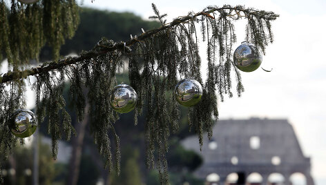 Kalėdinė eglė Romoje