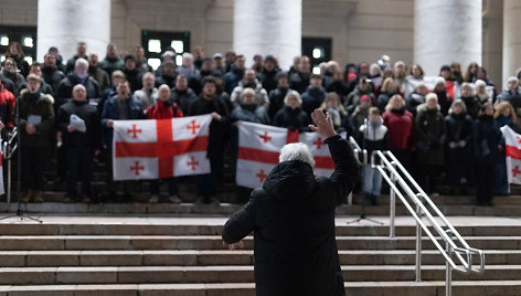 Protestuojančių kartvelų palaikymo akcija