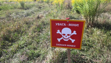 Minų laukas