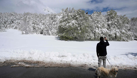Korsikoje iškritęs sniegas