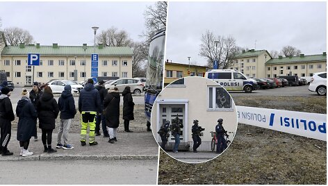 &Scaron;audynės netoli Helsinkio, Vantos mokykloje