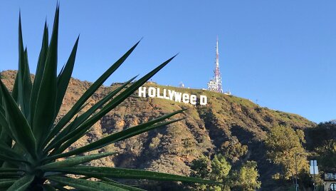 &bdquo;Hollywood&ldquo; virto &bdquo;Hollyweed&ldquo;