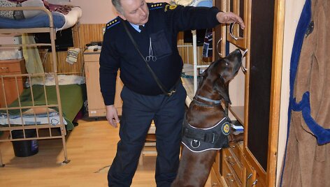 Įkalinimo įstaigų patikrinimas su tarnybiniais &scaron;unimis