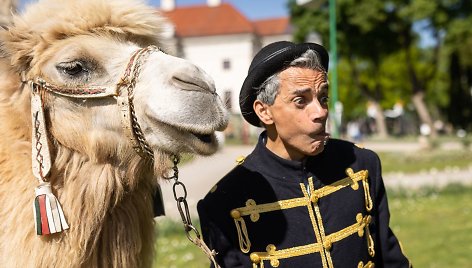 Milijonai žiedų, spektakliai ir stingdantys kraują cirko triukai – didžiausiame šios vasaros festivalyje 