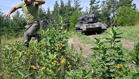 Ukrainos kariai