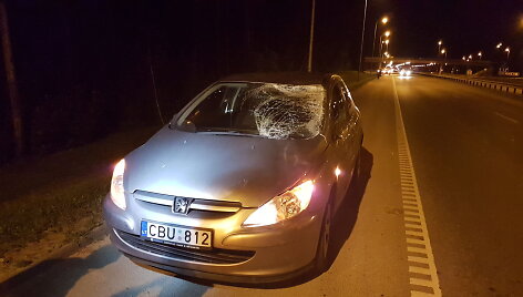 Prie Vilniaus du automobiliai susidūrė su briedžiu.