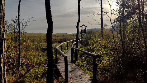 Lenkimų bebrynas