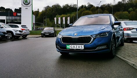 &Scaron;koda Octavia