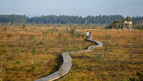 Aukštumalos pelkė