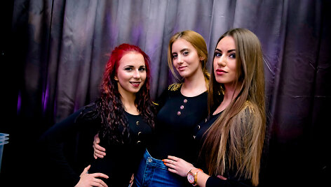 Vakarėlio akimirka