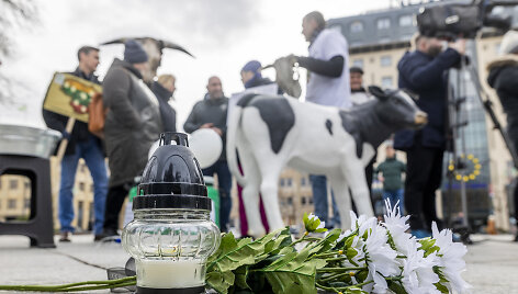 Prie Vyriausybės ūkininkų protestas dėl pieno supirkimo kainų