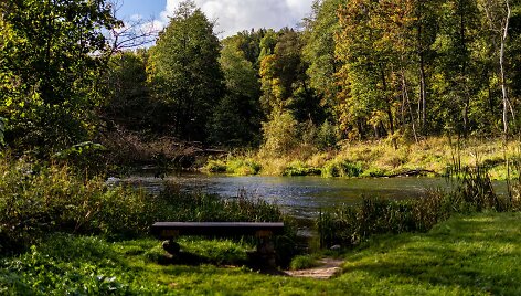 Saulėtas rudens rytas
