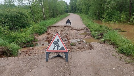 Liūties suardytas kelias