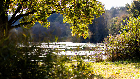 Saulėtas rudens rytas