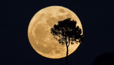 Dangaus stebėtojai grožisi „supermėnuliu“