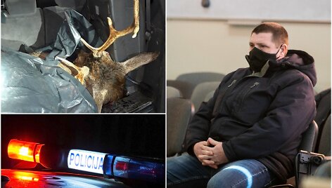 Policininkas E.Balčiūnas atsidūrė teisme, kol kas &ndash; tik dėl įtarimų gabenus neteisėtai sumedžiotą laukinį gyvūną.