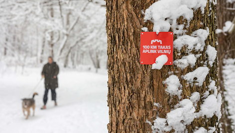 100 kilometrų takas aplink Vilnių