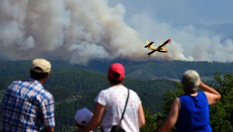 Lėktuvas virš gaisro zonos Portugalijoje