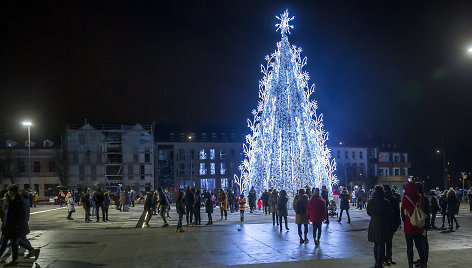 Panevėžys pristatė savo Kalėdų eglę