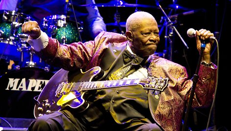 B.B.Kingas (2011 m.)