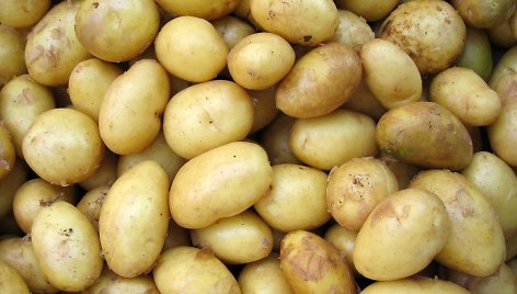 Šviežios bulvės