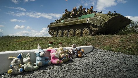 Malaizijos kelevinio lėktuvo nukritimo vieta po metų