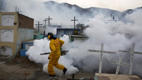 Darbininkai dezinfekuoja aplinką nuo Zika virusą perne&scaron;ančių uodų