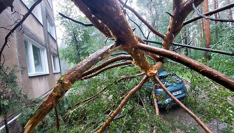 Vilniaus Lazdynų mikrorajone audra pridarė žalos: ant daugiabučio užvirto medis