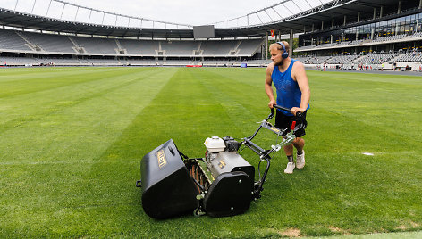 Stadiono veja